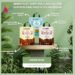 Narti Organic, Amla Reetha Shikakai, Monsoon Hair Care, Chemical Free, Herbal Hair Care, Natural Beauty,
