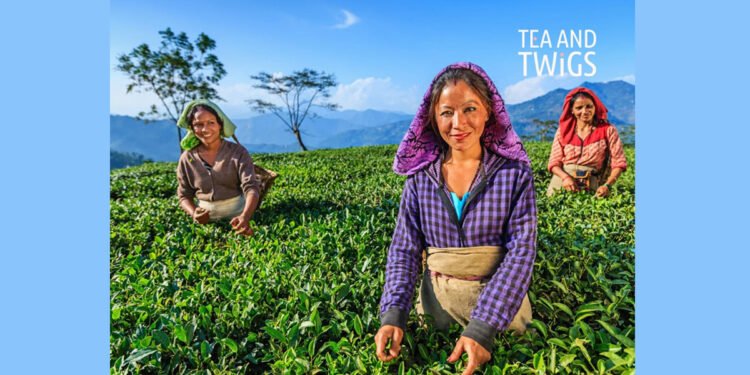 Brewing Success: Priyanka’s Journey with Tea and Twigs