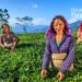 Brewing Success: Priyanka’s Journey with Tea and Twigs