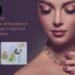 Miss Astute: A Celebration of Elegance and Craftsmanship