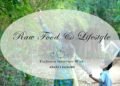 Anjali Sanghi, distinguished Indian artist, award-winning author, educational innovator,